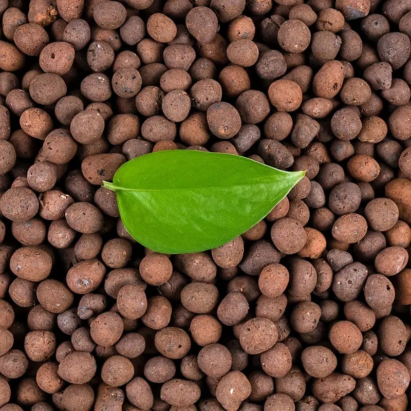 Clay Pebble Growing - 1LB 再利用可能な水耕粘土小石 天然水耕栽培粘土小石 軽量、再利用可能な粘土ボール ガーデニング用