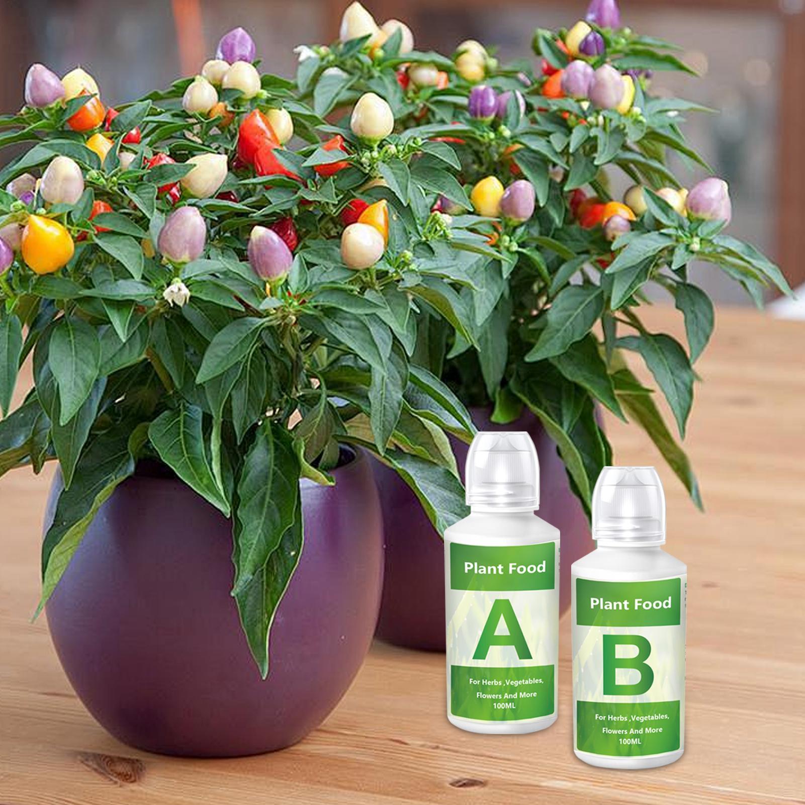 Nutrient Solution Ab - 水耕栽培用養液肥料ABソリューションセット 水耕栽培用植物栄養剤 花や野菜用の植物肥料 栄養剤