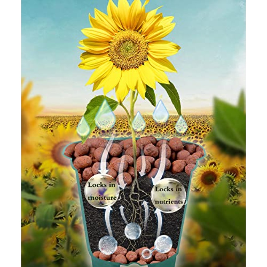ヴォウロシミ粘土砂利水耕栽培用岩石オーガニックセラミックサイ - Clay Pebble Growing のレビューと価格