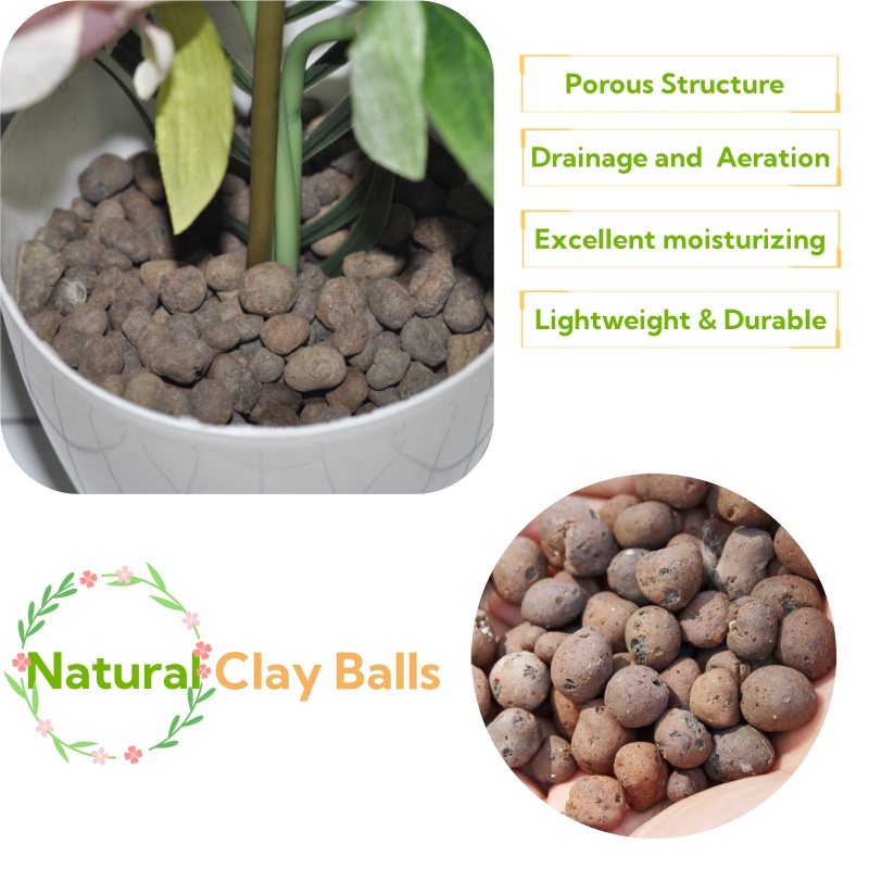 2L/1L オーガニック粘土ボール、花用基質排水用エキスパン - Clay Pebble Growing のレビューと価格