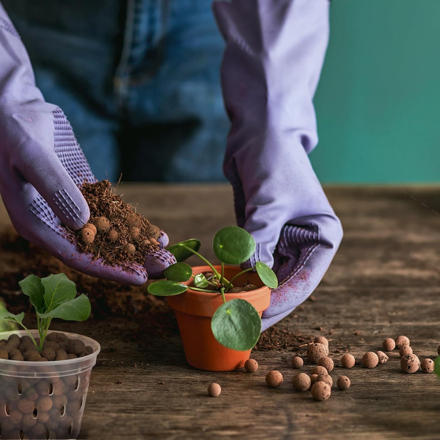 2L/1L オーガニック粘土ボール、花用基質排水用エキスパン - Clay Pebble Growing のレビューと価格