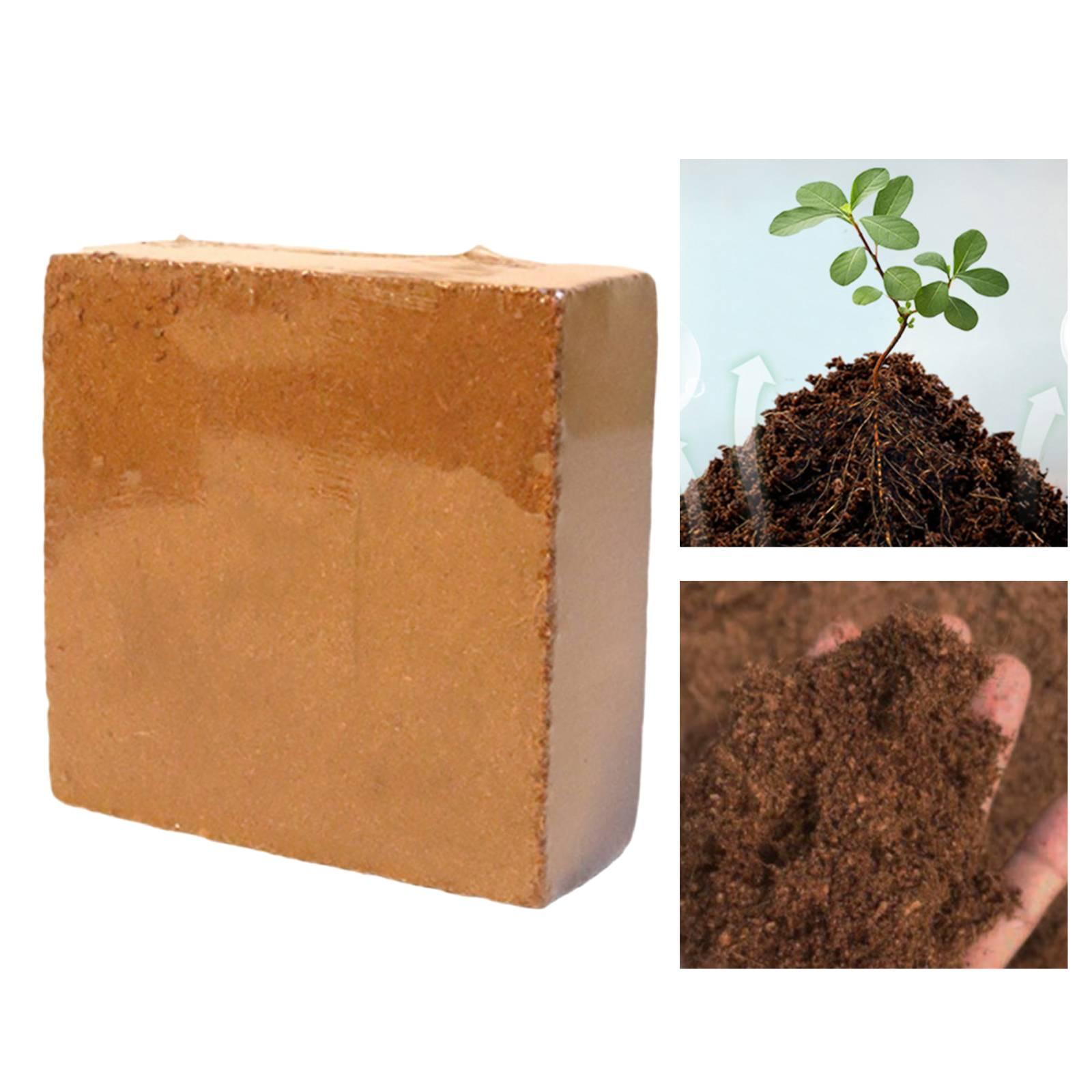 水分保持ココスコイア圧縮ブリック、鉢植えの花や野菜用の簡単膨 - Coco Coir Block のレビューと価格