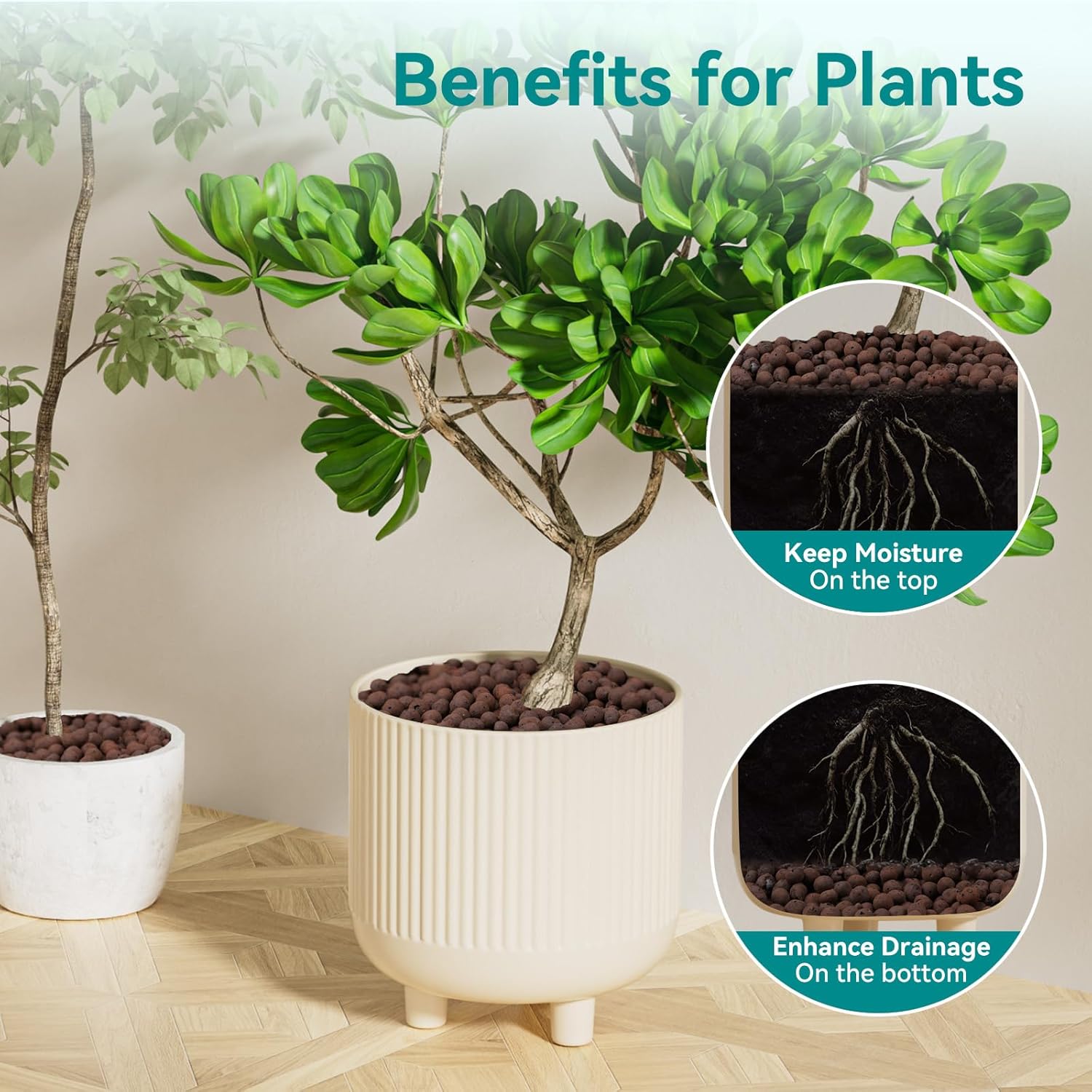 植物用粘土小石100/200g、植物用軽量粘土球、排水用、水 - Clay Pebble Growing のレビューと価格
