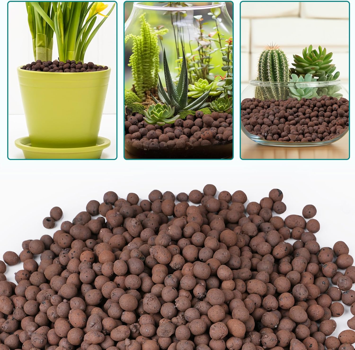 植物用粘土小石100/200g、植物用軽量粘土球、排水用、水 - Clay Pebble Growing のレビューと価格