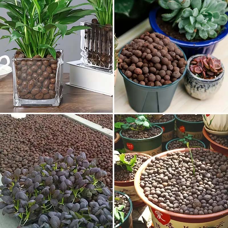 植物用粘土小石100/200g、植物用軽量粘土球、排水用、水 - Clay Pebble Growing のレビューと価格