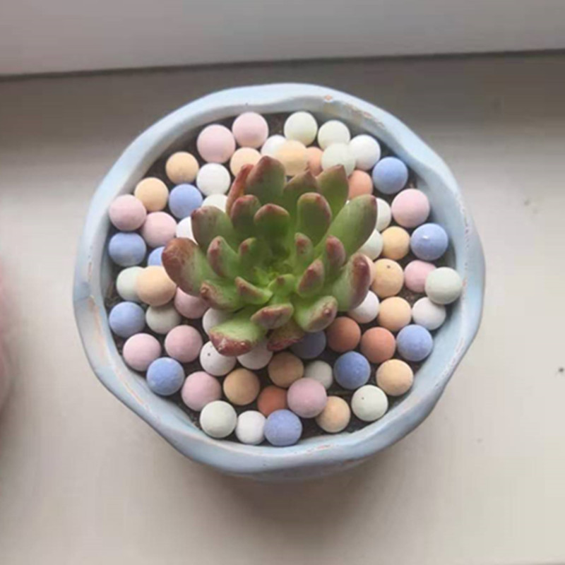 固体セラミックサイト拡張粘土小石、培地、蘭、多肉植物、水耕栽 - Clay Pebble Growing のレビューと価格