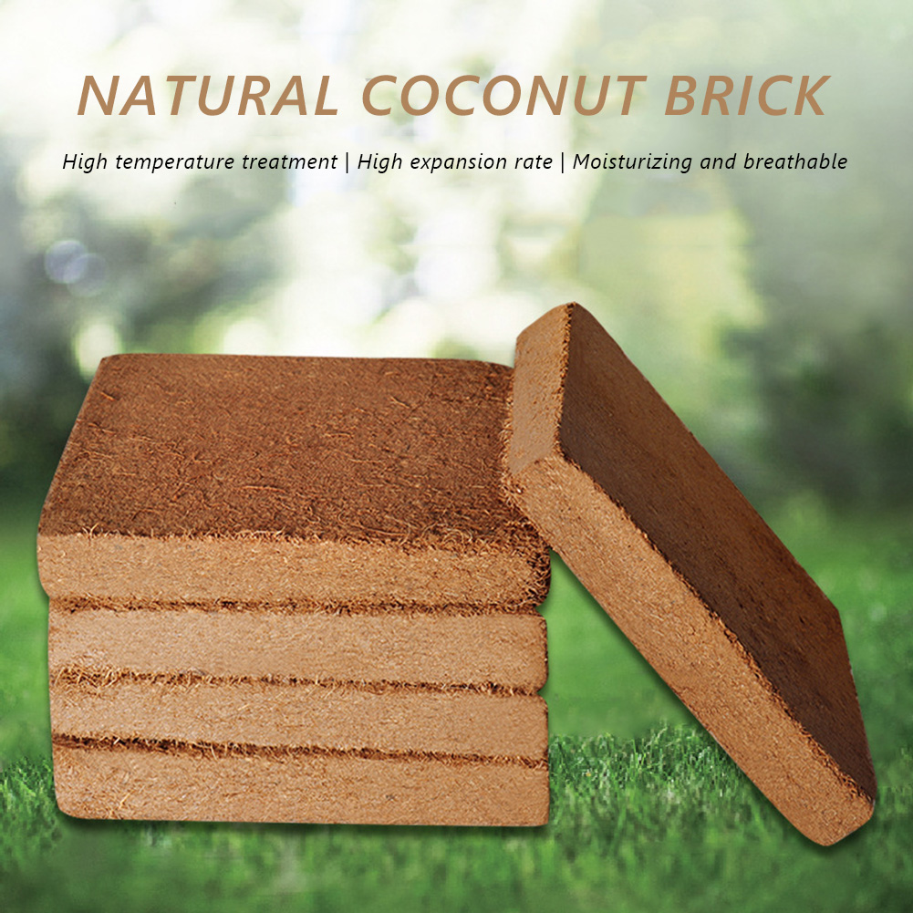 汎用植物有機繊維ブロックココナッツシェル植栽用植木鉢 - Coco Coir Block のレビューと価格